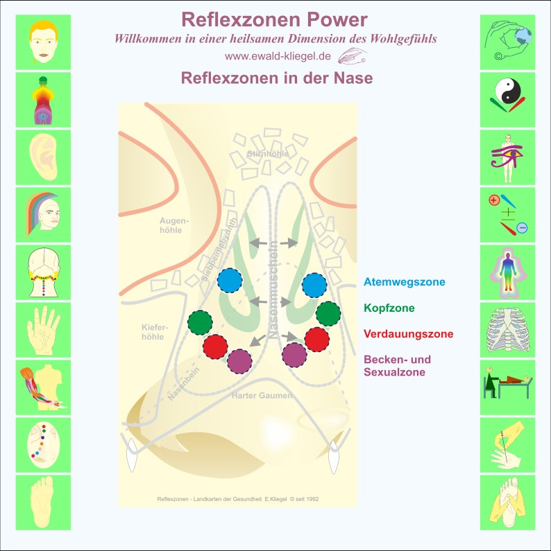 Reflexzonen Power Ewald Kliegel Reflexzonen in der Nase