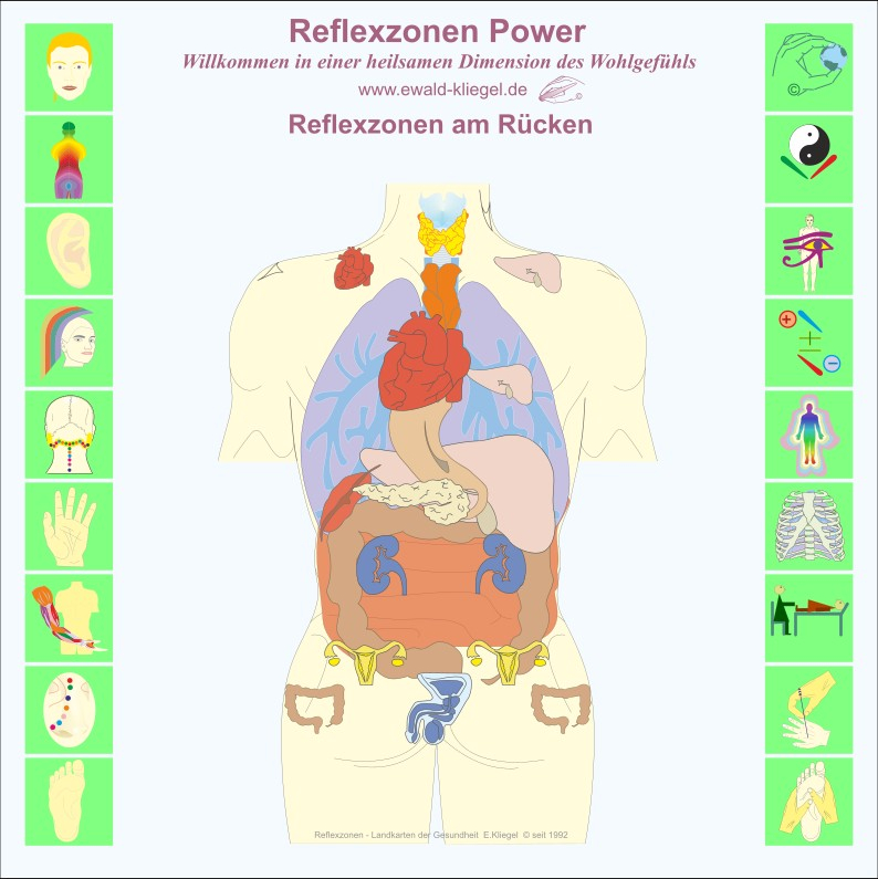 Reflexzonen Power Ewald Kliegel Reflexzonen am R&uuml;cken