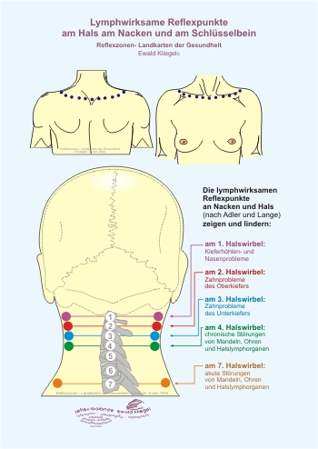 Reflexzonen - lymphwirksame Reflexpunkte am Hals